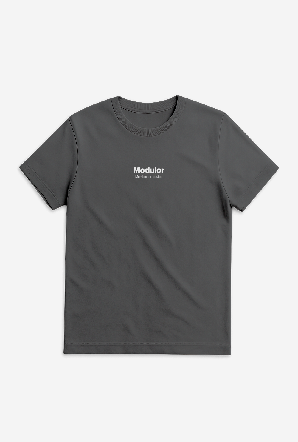 T-SHIRT CLASSIQUE GRIS